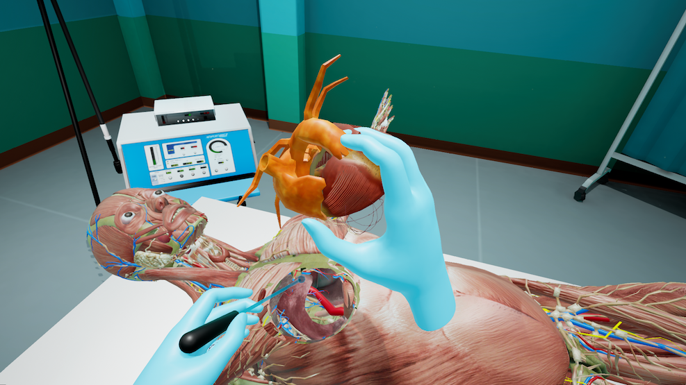 Screenshot of the VR Anatomy Atlas